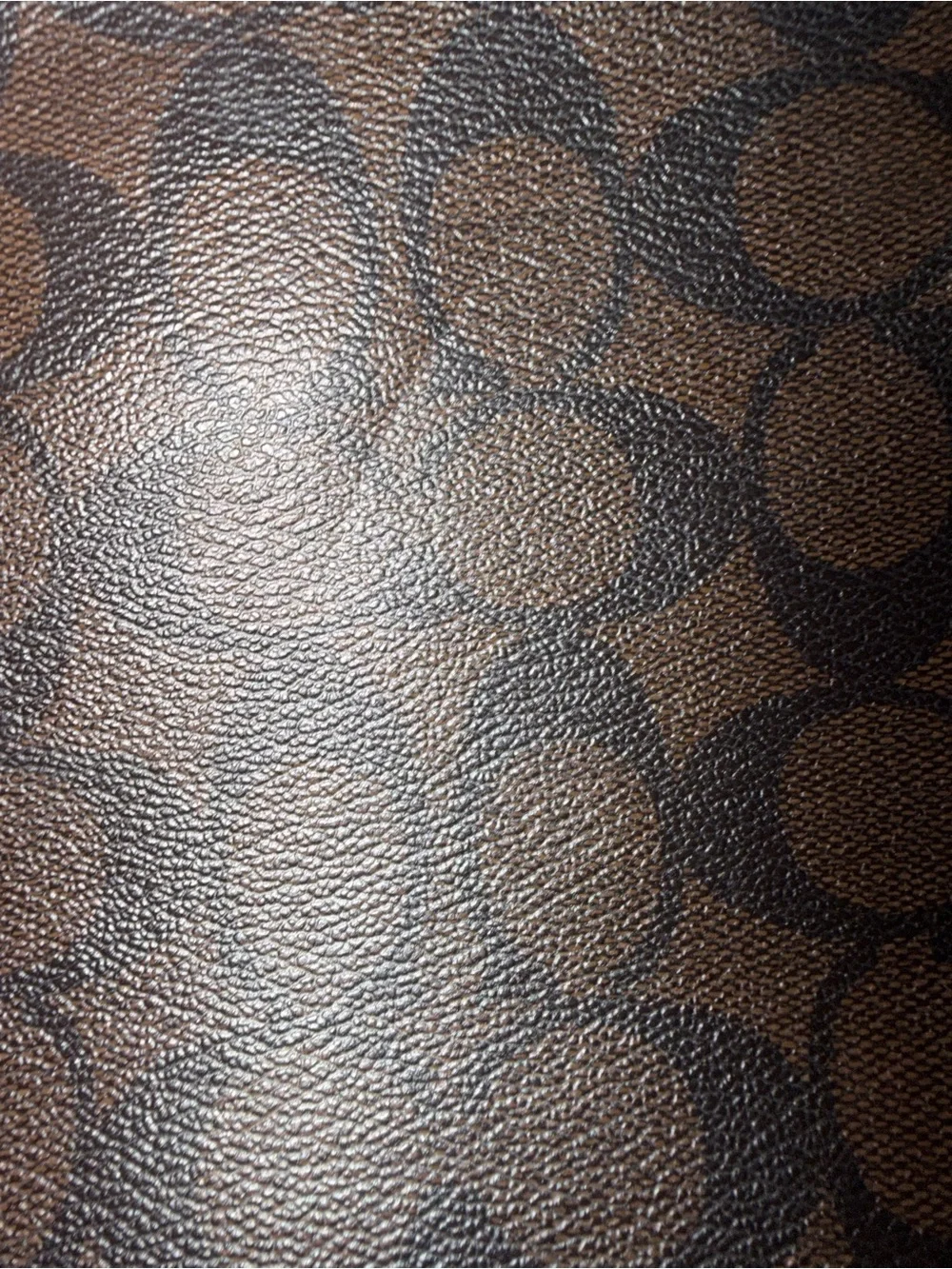 Coach signature dark